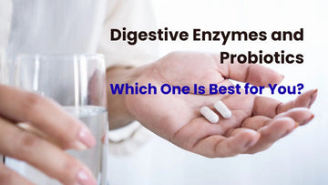 Digestive Enzymes and Probiotics: Which One Is Best for You?